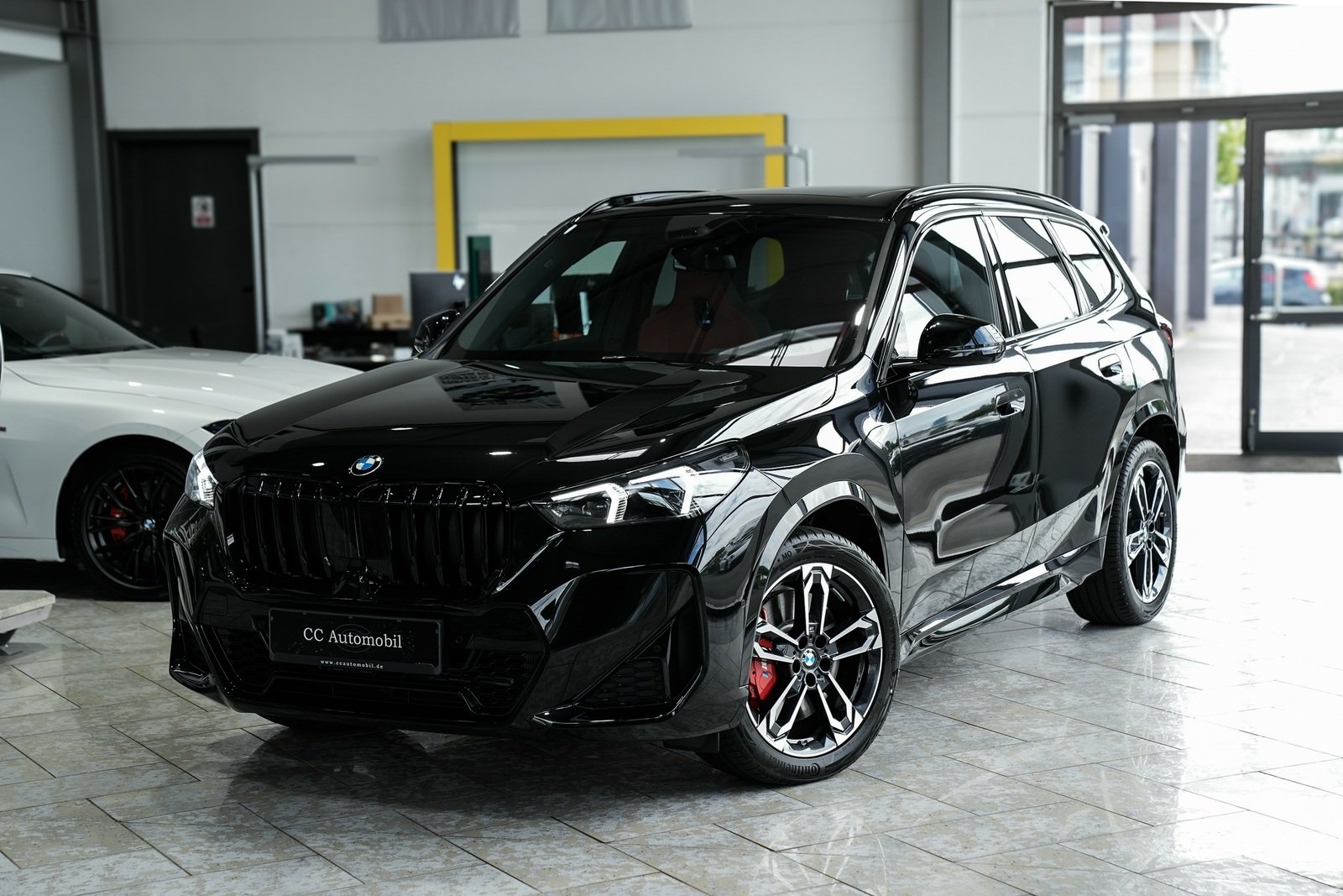 BMW X1 xDrive 20d M SPORT PRO